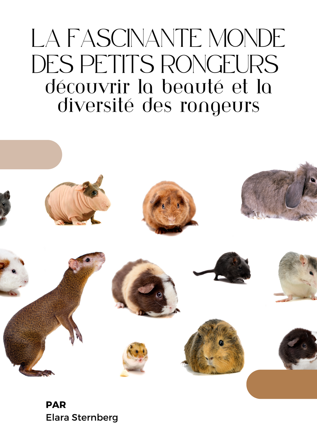 La fascinante monde des petits rongeurs