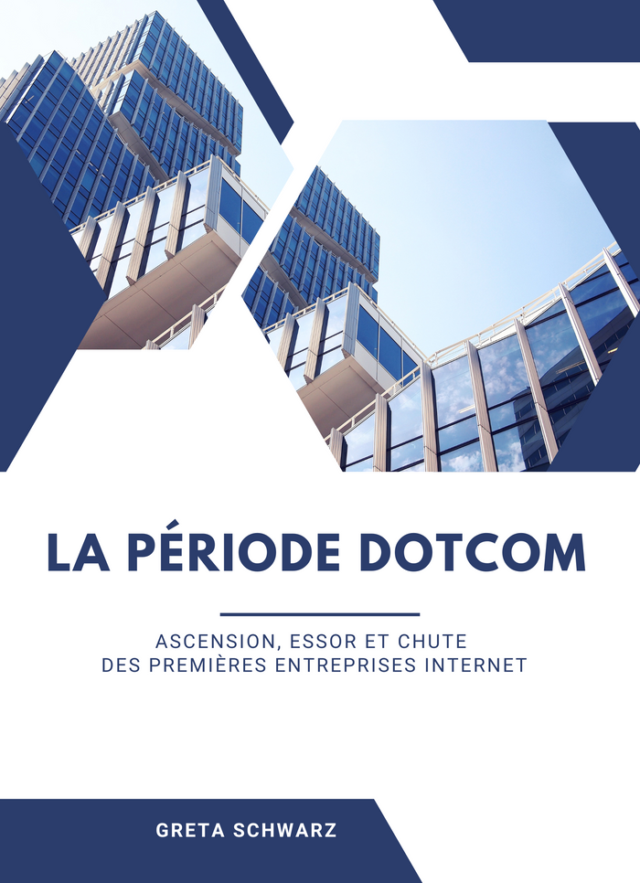 La période Dotcom