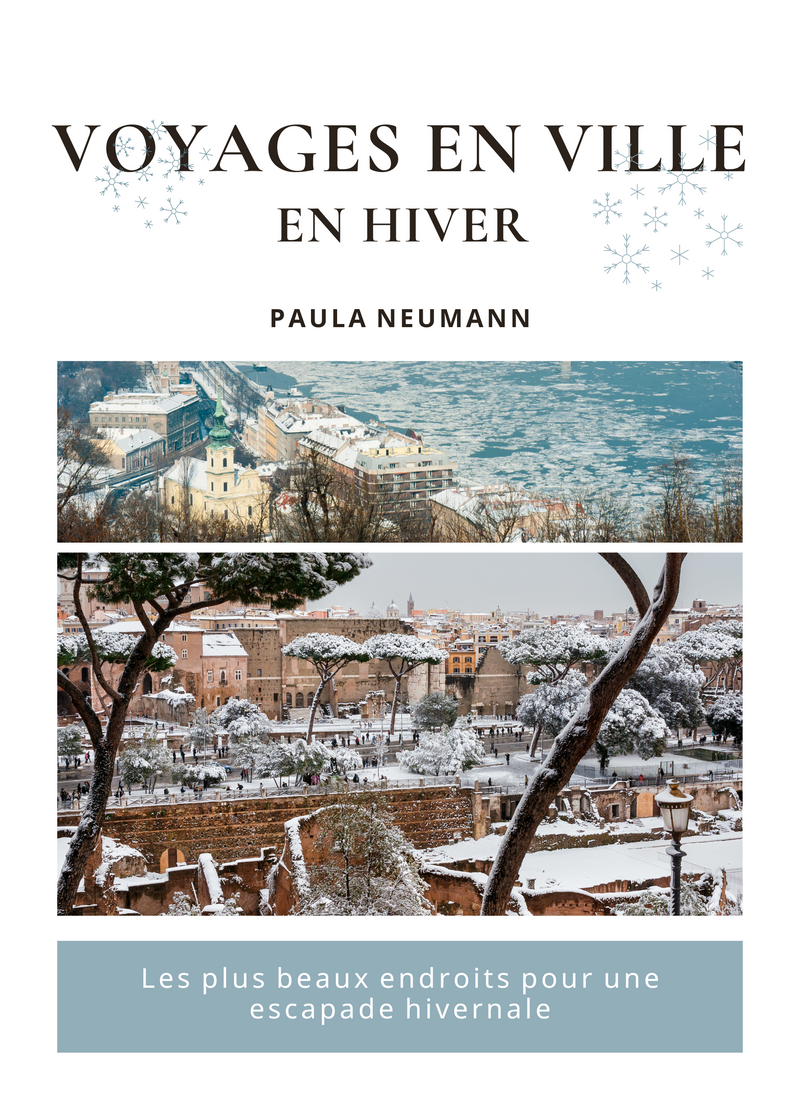 Voyages en Ville en Hiver