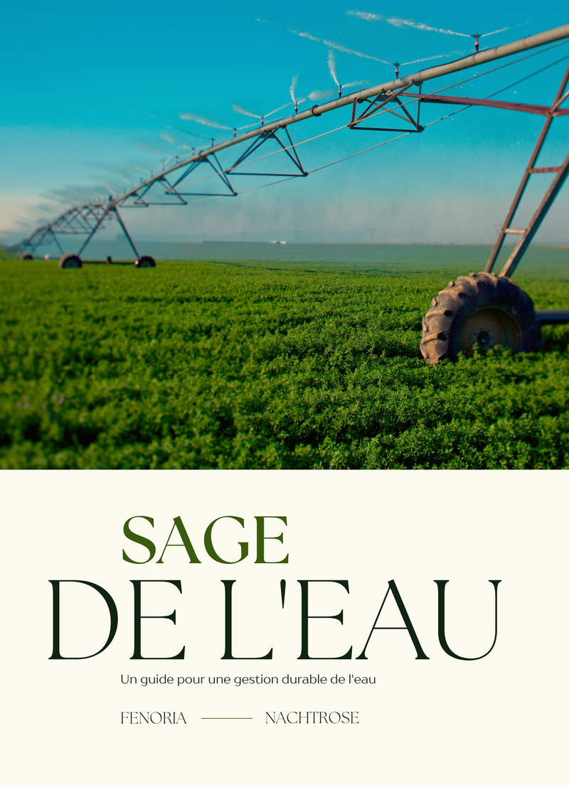 Sage de l'eau