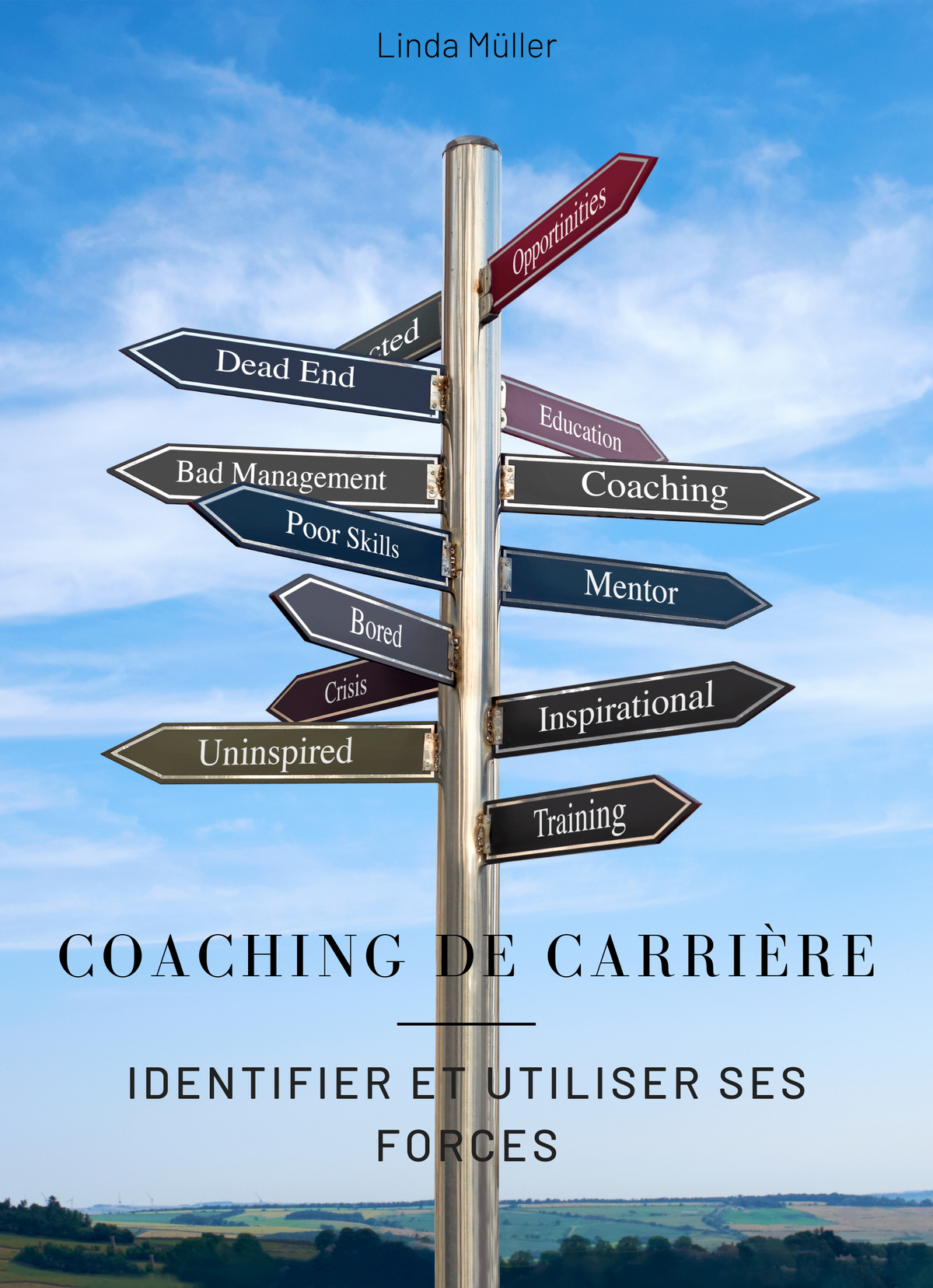 Coaching de Carrière
