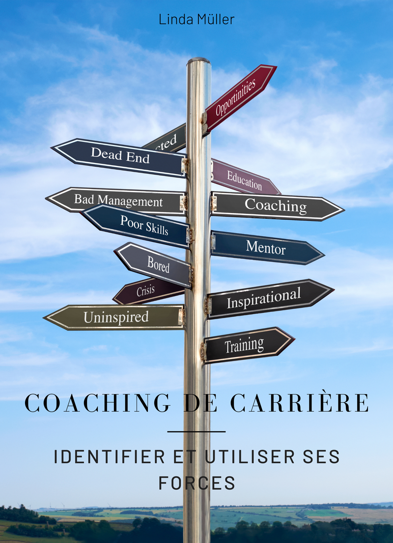 Coaching de Carrière