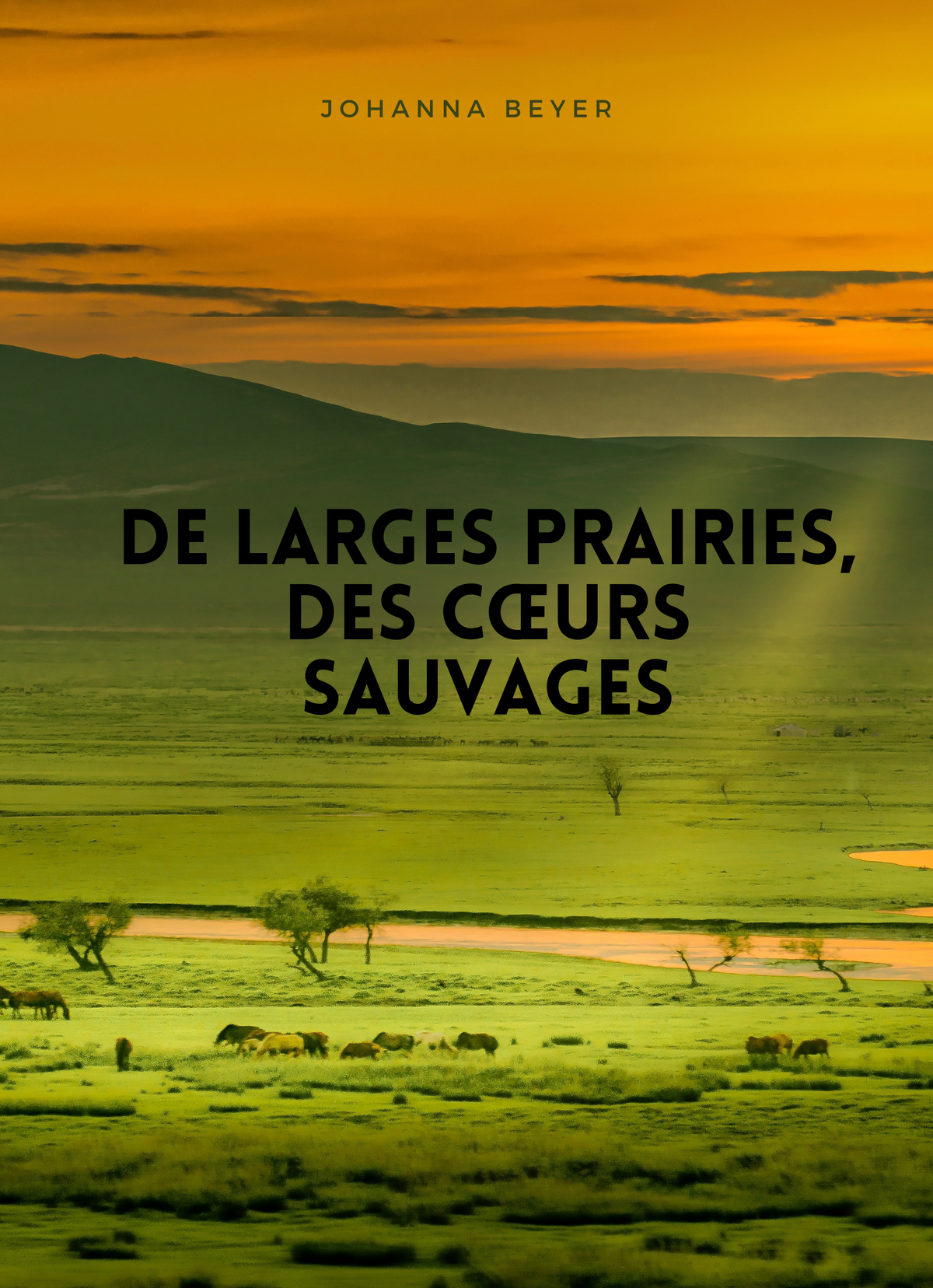 De larges Prairies, des Cœurs sauvages